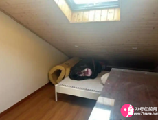 橫店600元/月的房間