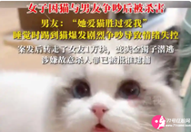 女子養(yǎng)的貓